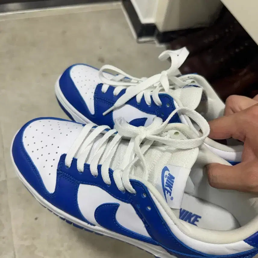 [BUNJANG] Nike Dunk Kentucky Blue 260mm / 나이키 덩크 켄터키블루 260