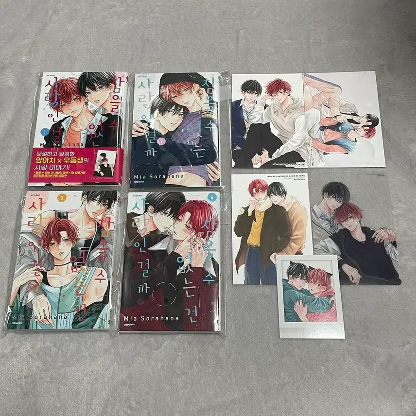 [BUNJANG] Can't Resist Love Animeate First Edition Special Edition Japanese BL Manga / 일본 비엘 만화책 참을 수 없는 건 사랑인 걸까 애니메이트 초판 특전