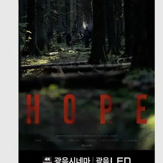 [BUNJANG] Lotte Cinema Special Hall 'Light and Sound LED' A3 Poster / 호프 롯데시네마 특별관 광음LED/광음시네마 포스터 (A3) 팝니다