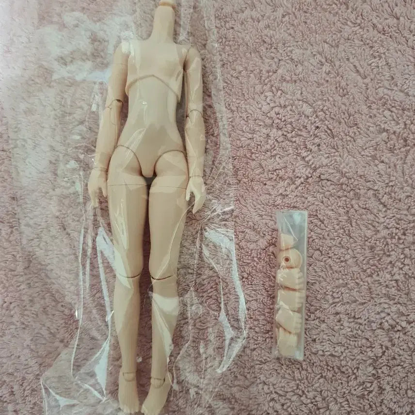 [BUNJANG] Obitsu 22 Normal Body (M/S Size) / 오비츠22 노멀 (m또는s)