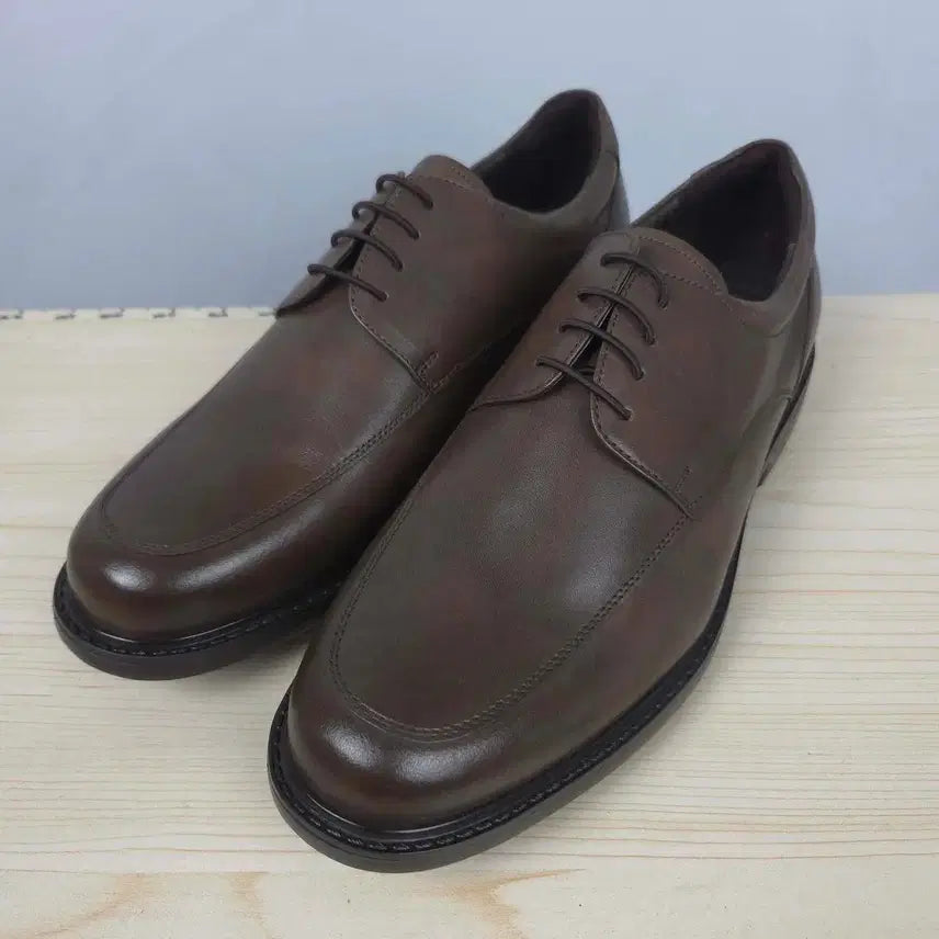 [BUNJANG] Tandy Men's Soft Genuine Leather Casual Shoes (Dark Chestnut, Size 255) / 새상품급) 255 탠디 진밤색 부드러운 소가죽 남성 캐주얼 구두