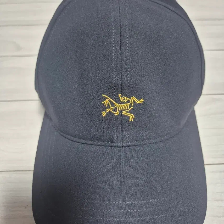 [BUNJANG] Arc'teryx Small Bird Logo Baseball Cap / 아크테릭스 스몰 버드 모자