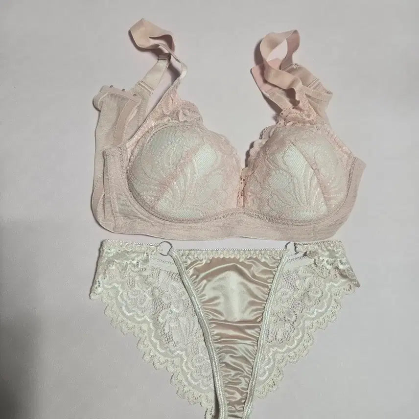 [BUNJANG] Women's Lace Lingerie Set (Bra and Panty) / 여성속옷