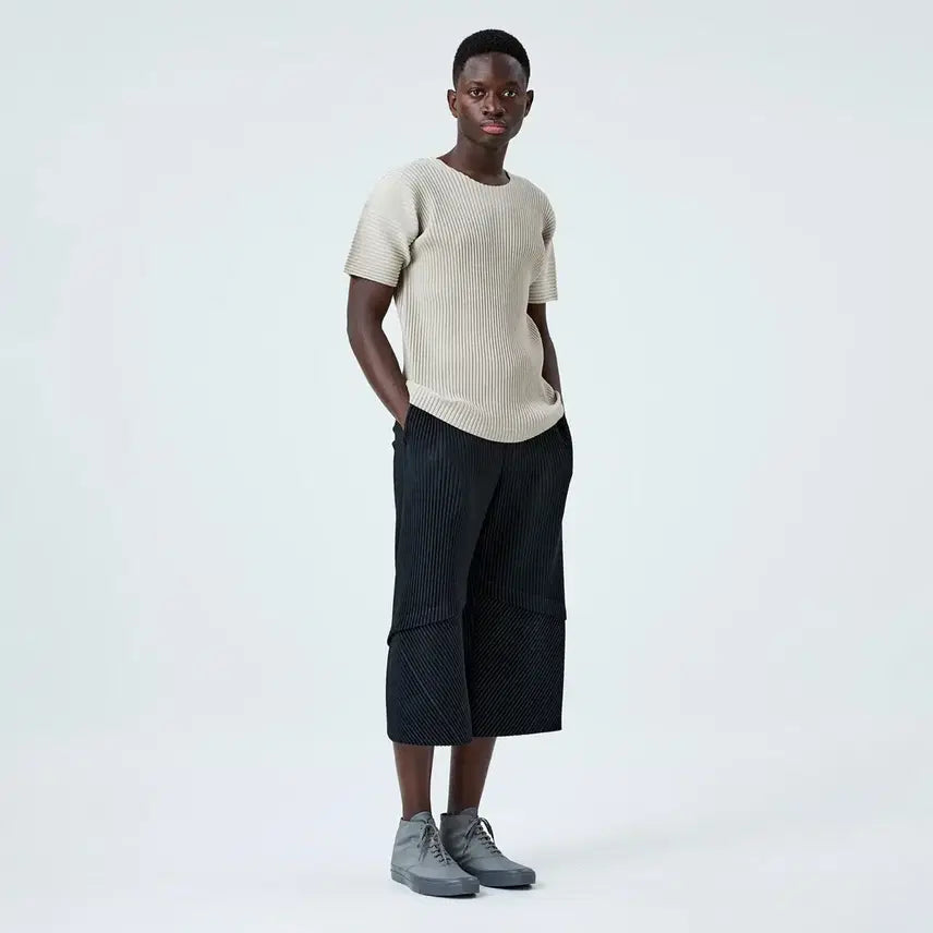 [BUNJANG] Homme Plissé Issey Miyake Aerial Crop Pants - Size 2 / [2] 옴므플리세 - 에어리얼 크롭 팬츠