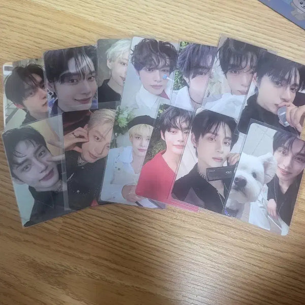 [BUNJANG] ZEROBASEONE Kim Jiwoong Photocard / 제로베이스원 제베원 김지웅