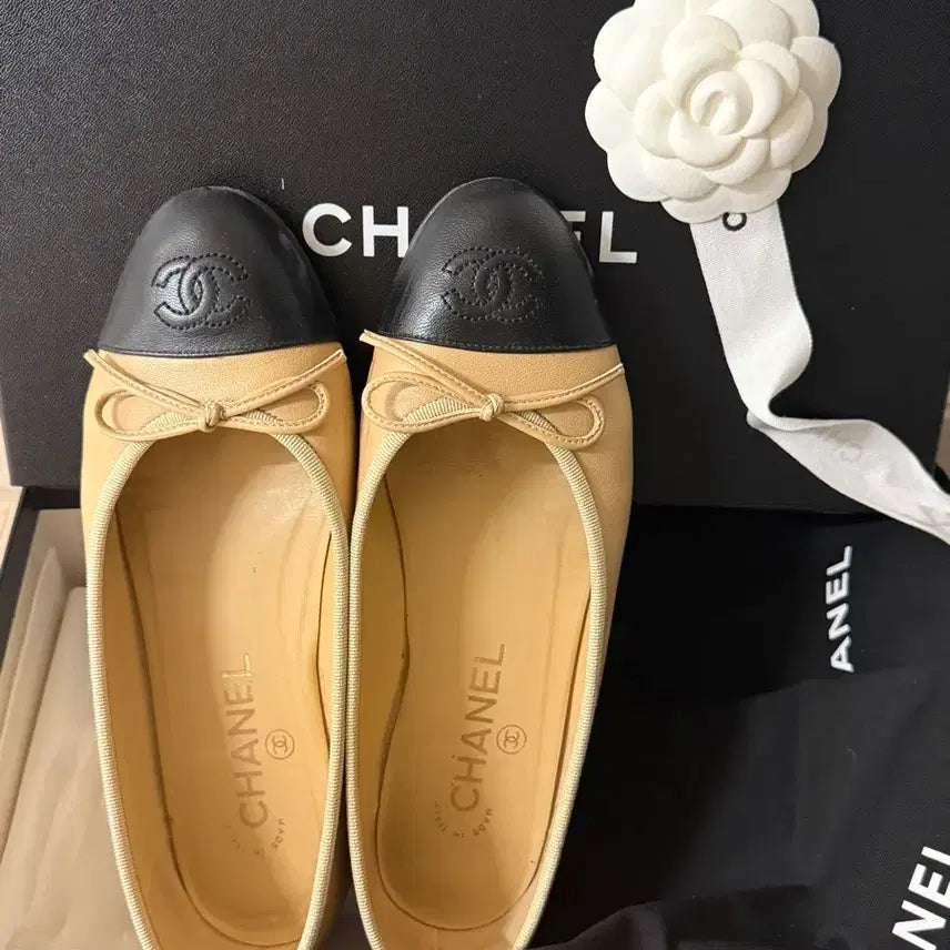 [BUNJANG] Chanel Ballerina Shoes Beige/Black Size 36 / 샤넬 발레리나 슈즈 베이지/블랙 36