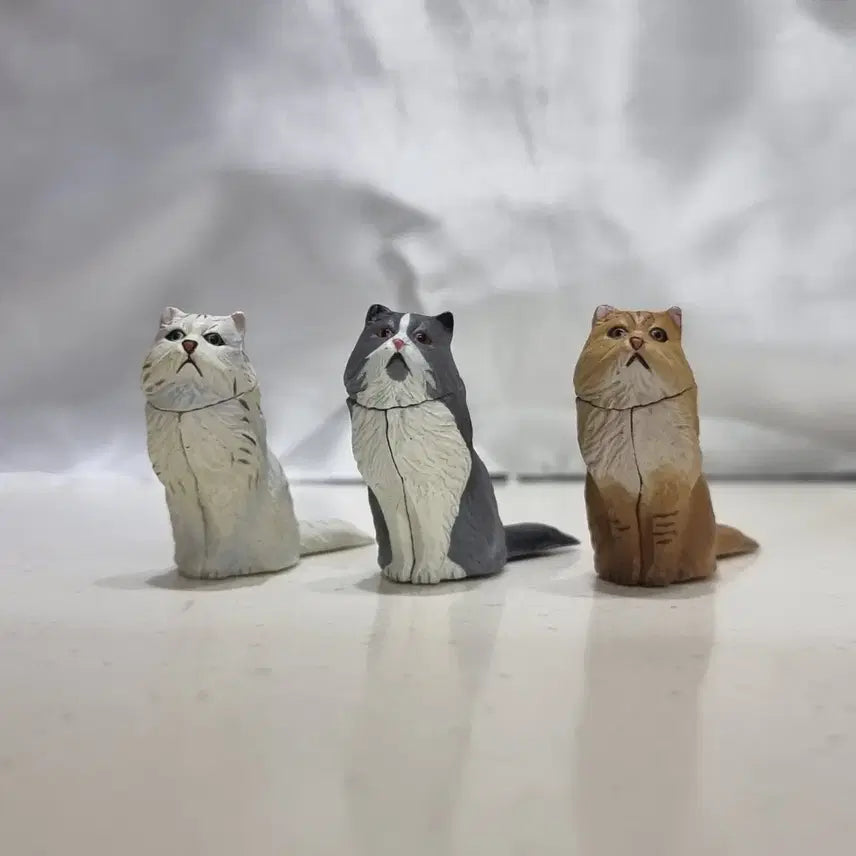 [BUNJANG] Kaiyodo Furuta Persian Cat Figure Set (3 Types) / 카이요도 후루타 페르시안 고양이 피규어 3종 생물 피규어