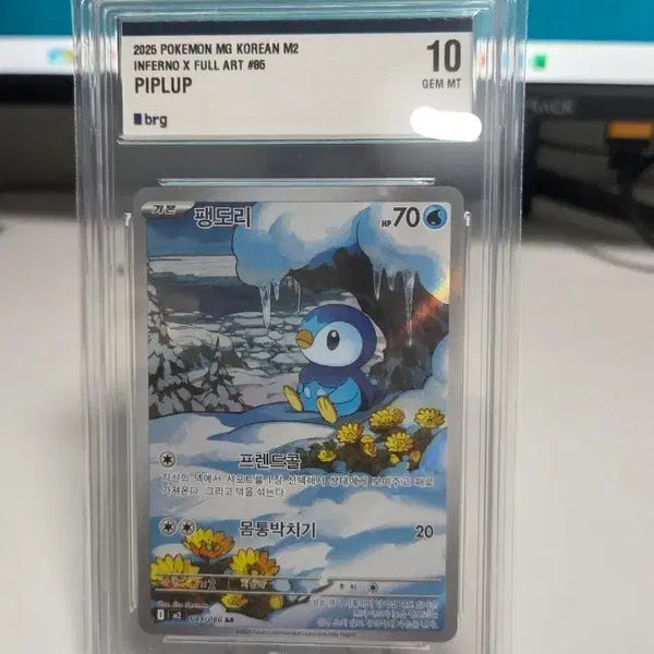 [BUNJANG] Pokemon Card Piplup Full Art M2 GEM MT 10 / 포켓몬카드 팽도리 풀아트 M2 10점