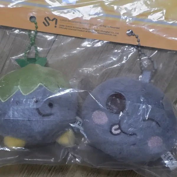 [BUNJANG] RIIZE China Shanghai Sohee 'Songyongdori' Keyring / 라이즈 중국 상하이 송용돌이 키링 굿즈