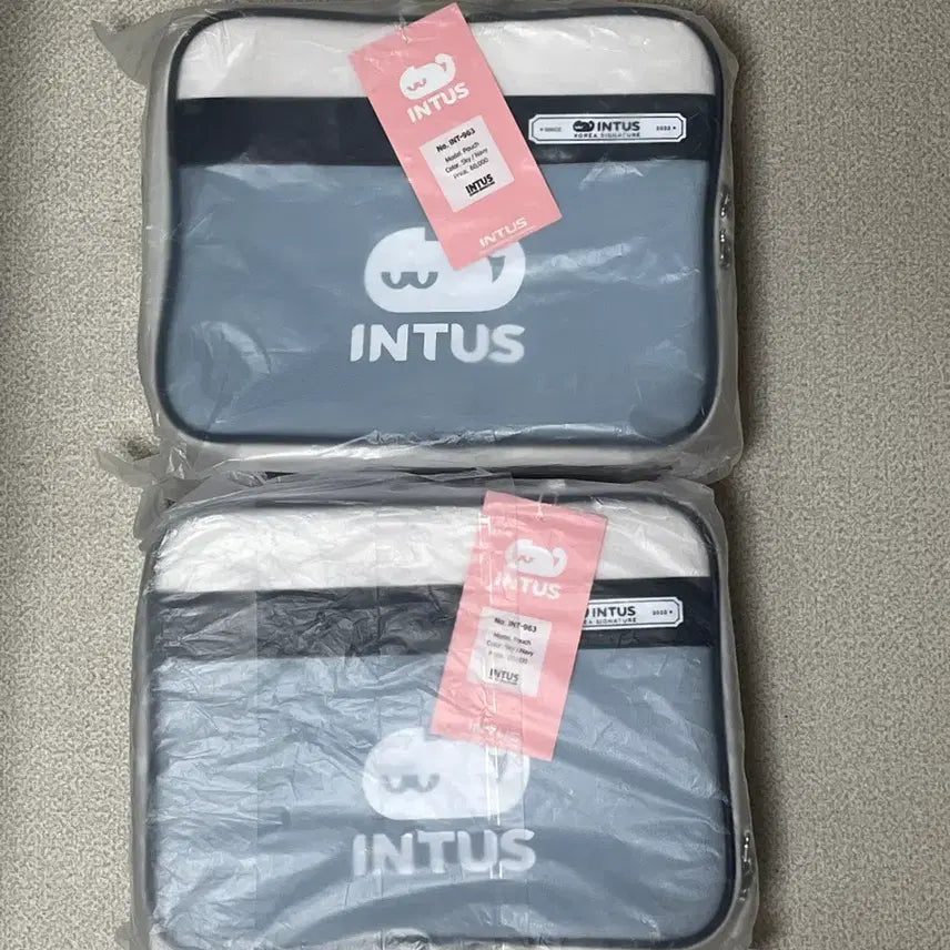[BUNJANG] Into Pouch / 인투스파우치