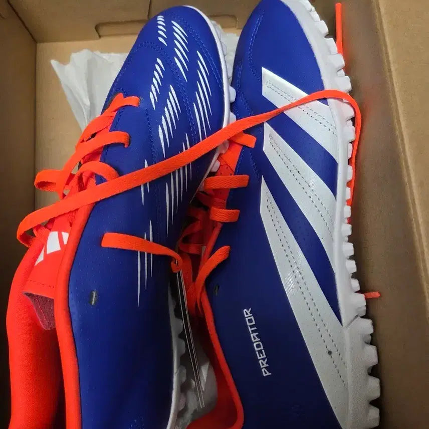 [BUNJANG] Adidas Predator Club TF Futsal Shoes 270mm / (새상품) 아디다스 프레데터 풋살화 270mm