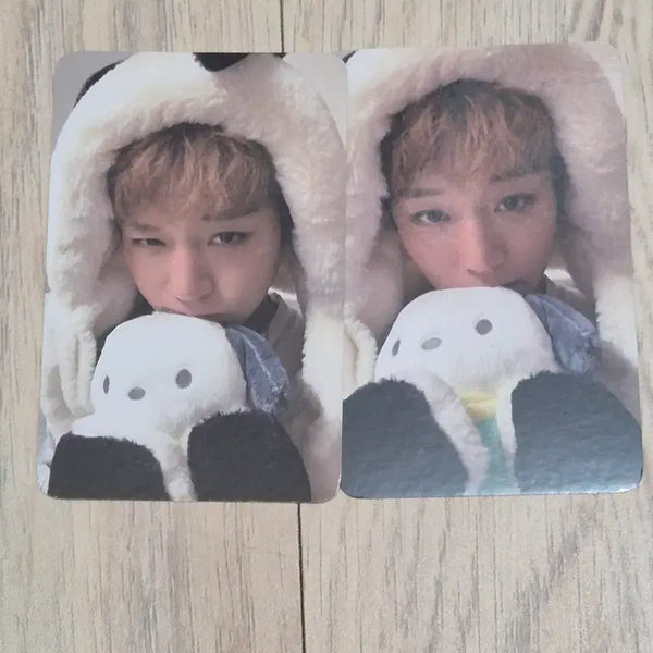 [BUNJANG] Park Jihoon Pochacco Photocard Set / 박지훈 포차코포카세트