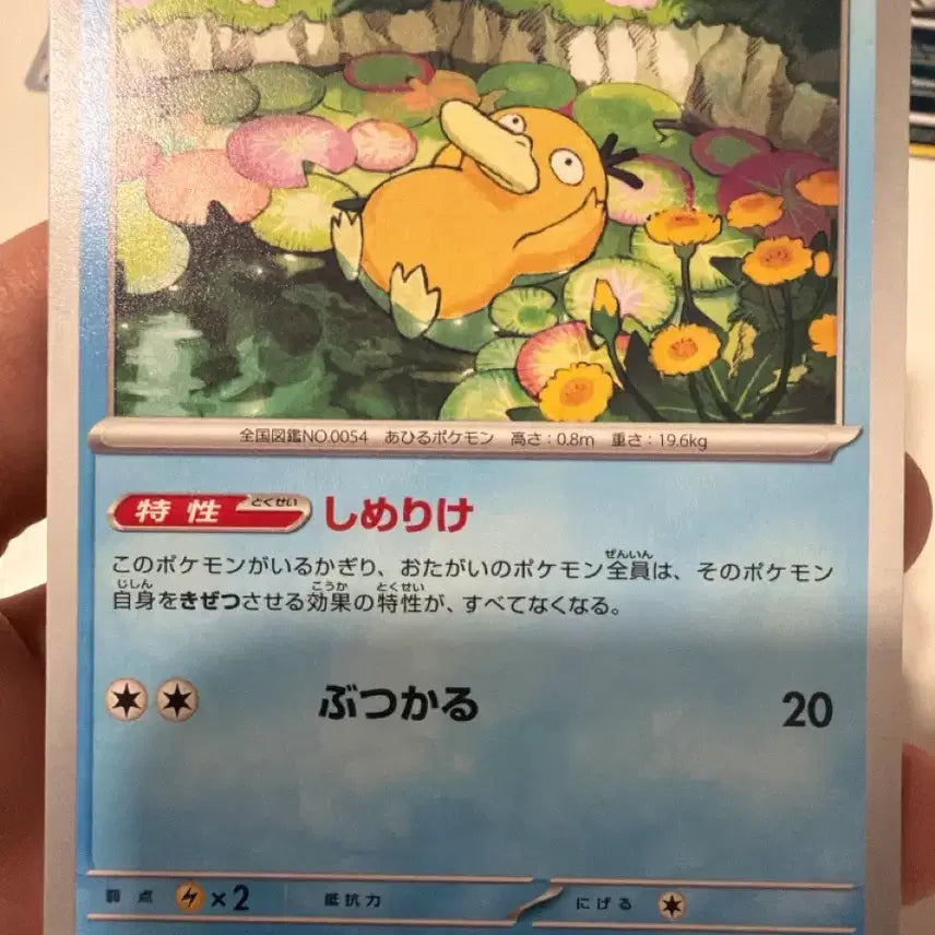 [BUNJANG] Pokemon Card Psyduck Japanese / 포켓몬카드 고라파덕 일판