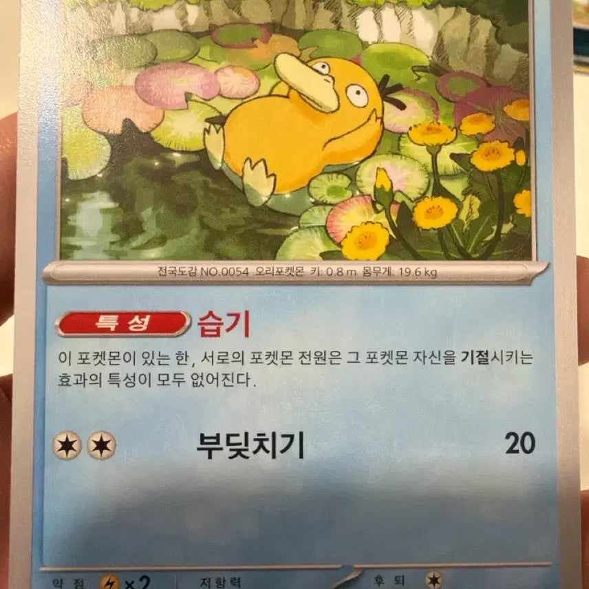 [BUNJANG] Pokemon Psyduck Trading Card / 포켓몬카드 고라파덕