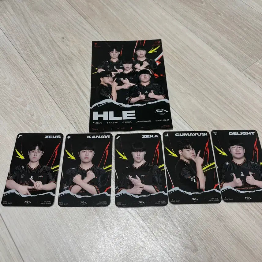 [BUNJANG] HLE MSI Limited Edition Photocard Set / 한화생명 HLE MSI 한정판 포토카드 세트 양도