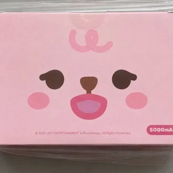 [BUNJANG] DAY6 DAY6 Petit Merz Power Bank Phil / 데이식스 쁘띠멀즈 보조배터리 필