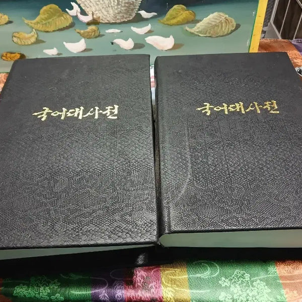 [BUNJANG] Korean Language Dictionary Set - 2 Volumes / 국어대사전 2권 세트