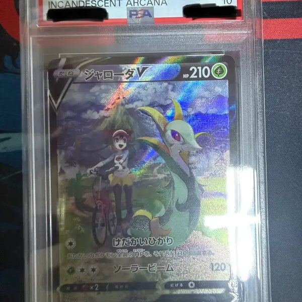 [BUNJANG] Charizard PSA 10 / 샤로다chr psa10