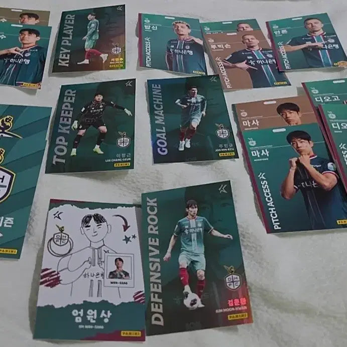 [BUNJANG] Daejeon Hana Citizen Panini Card Bundle Set / 대전하나시티즌 파니니 카드 일괄판매