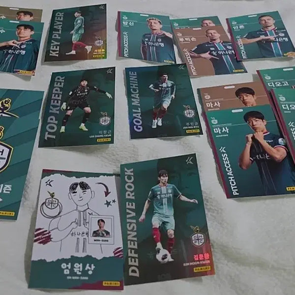 [BUNJANG] Daejeon Hana Citizen Panini Card Bundle Set / 대전하나시티즌 파니니 카드 일괄판매