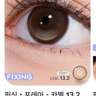 [BUNJANG] Foria Fixing Camel Color 1-Day Non-Prescription 8 Lenses / 포레아 픽싱 카멜 원데이 무도수 8p