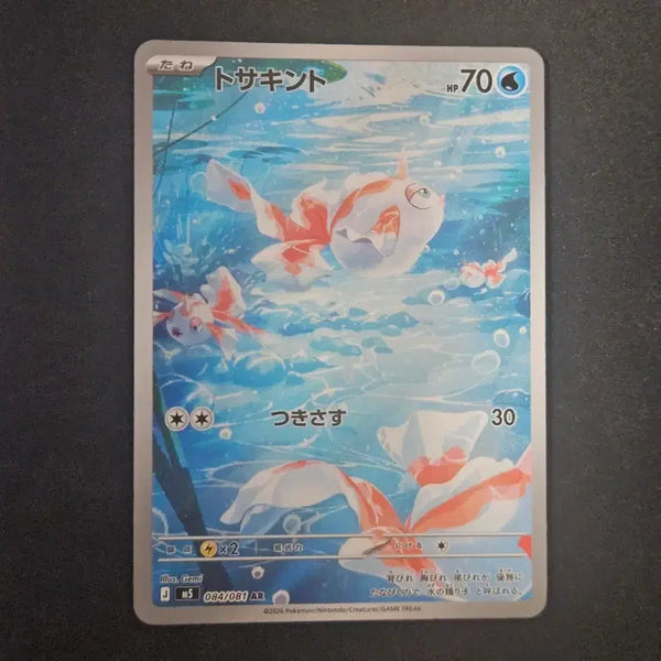 [BUNJANG] Pokemon Card (Japanese Edition) / 일판 콘치 ar 포켓몬카드