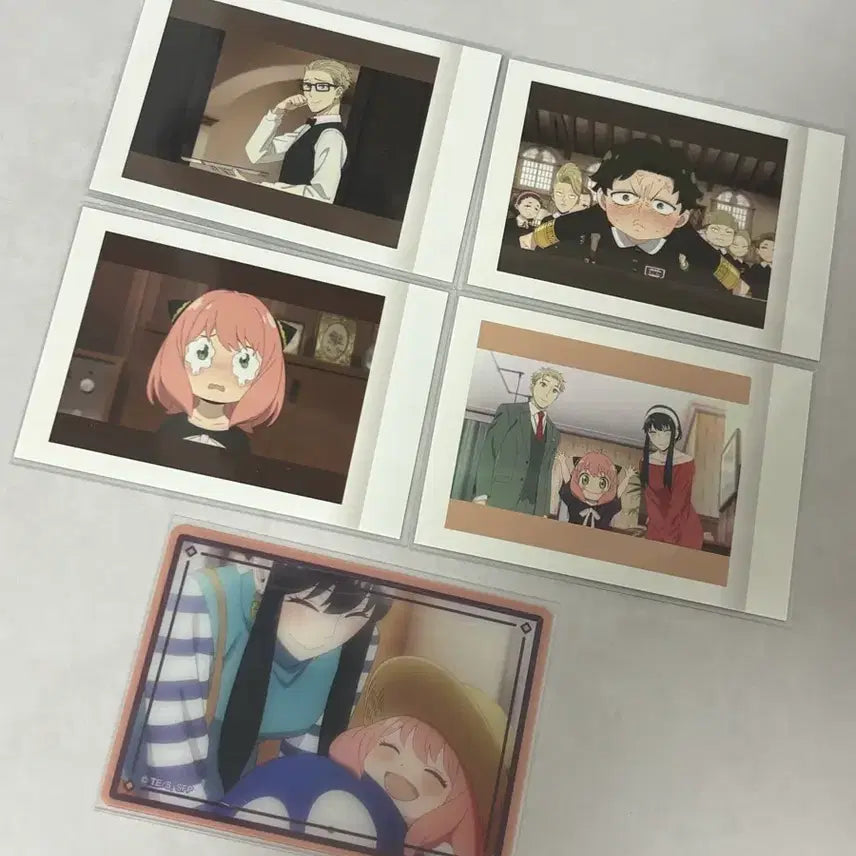 [BUNJANG] SPY x FAMILY Card Bundle Set / 스파이패밀리 카드 일괄