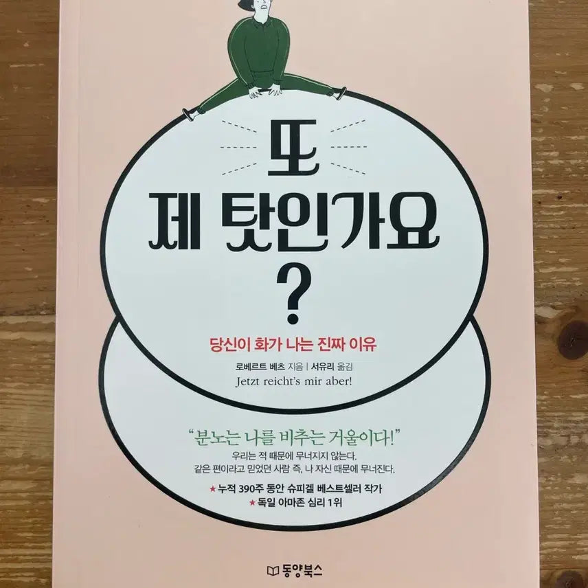 [BUNJANG] Is It My Fault? by Robert Betz / 또 제 탓인가요? - 로베르트 베츠