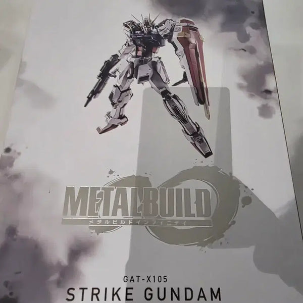 [BUNJANG] Metal Build Strike Gundam GAT-X105 Infinity / 메탈빌드 스트라이크 건담 GAT-X105 인피니티