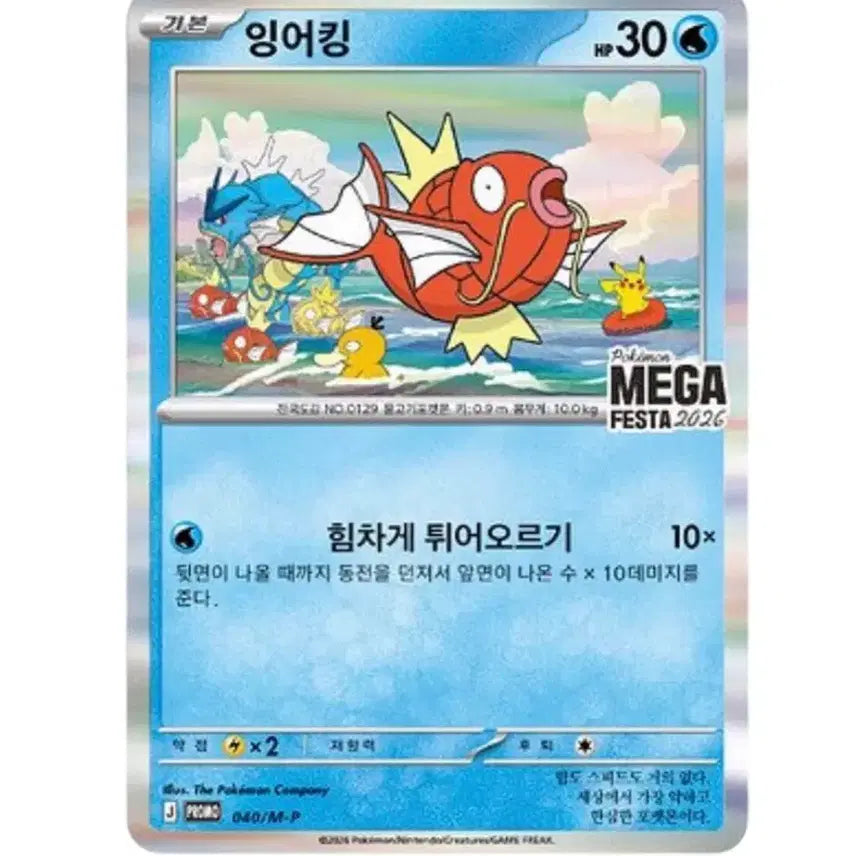 [BUNJANG] Magikarp 2026 Mega Festa Promo Cards (Set of 4) / 잉어킹 2026메가페스타 프로모카드 4장