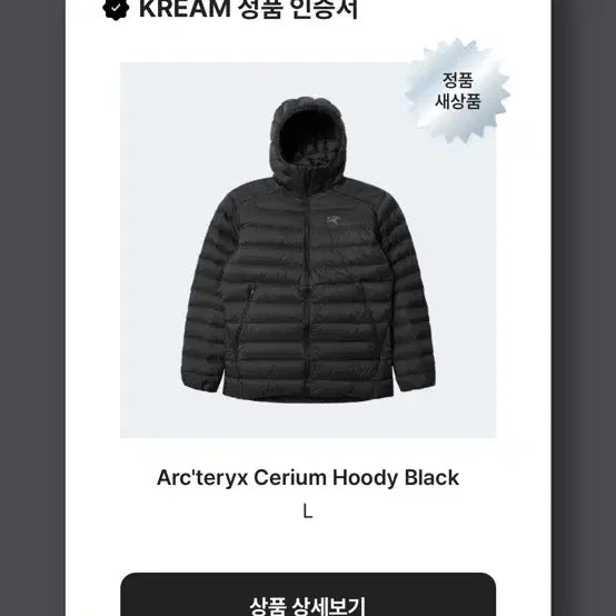 [BUNJANG] Arc'teryx Cerium Hoody Black L / 아크테릭스 세륨 후디 블랙 L사이즈