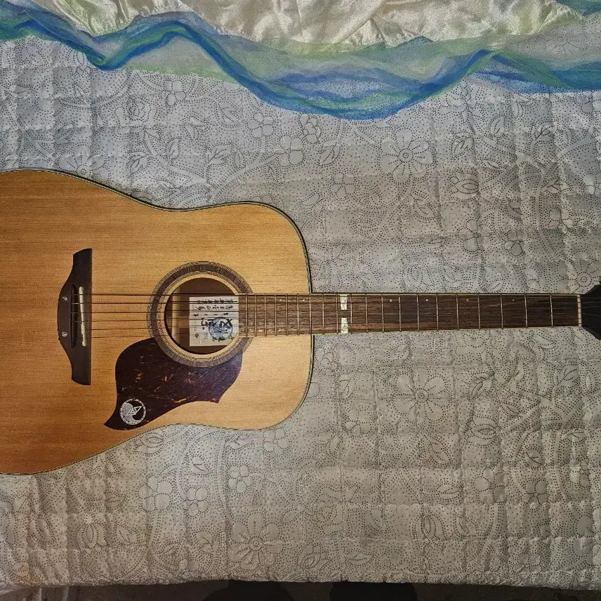 [BUNJANG] Sejong Guitar / 세종기타