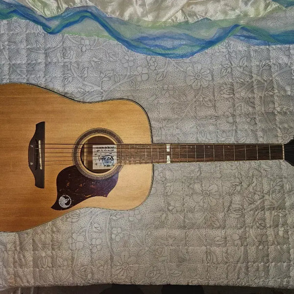 [BUNJANG] Sejong Guitar / 세종기타