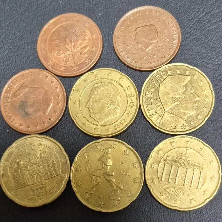 [BUNJANG] Euro 20 Cent & 5 Cent Coin Set (2002-2009) - 8 Early Year Coins / 유로 20센트5센트 주화. 줄세우기8점. 초년도