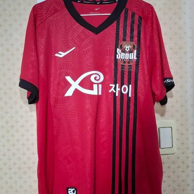 [BUNJANG] FC Seoul Cho Young-wook 20th Anniversary Jersey / 조영욱 fc서울