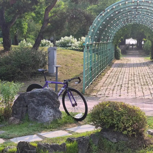 [BUNJANG] SNNM100 Purple Size S Bicycle / 쓰니미snm100 판/대