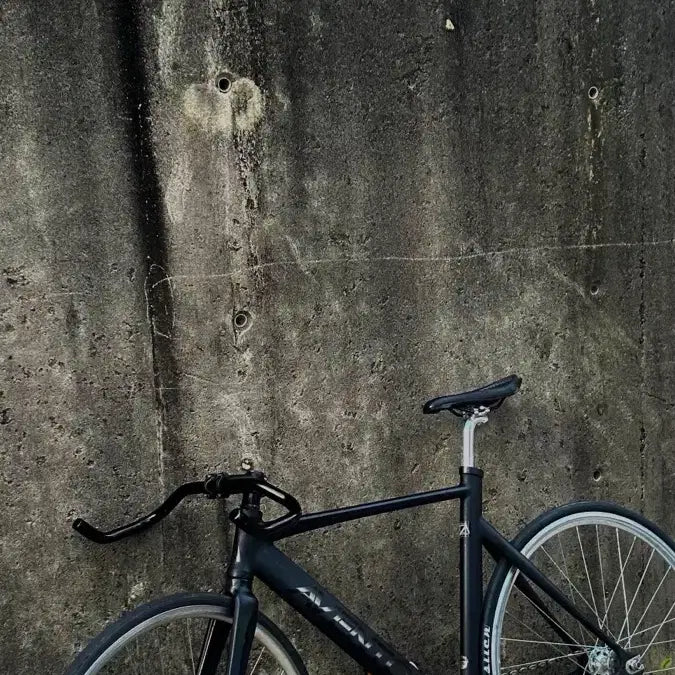 [BUNJANG] Aventon Mataro Low Track Bike / 아벤톤 마타로 로우 픽시 급처