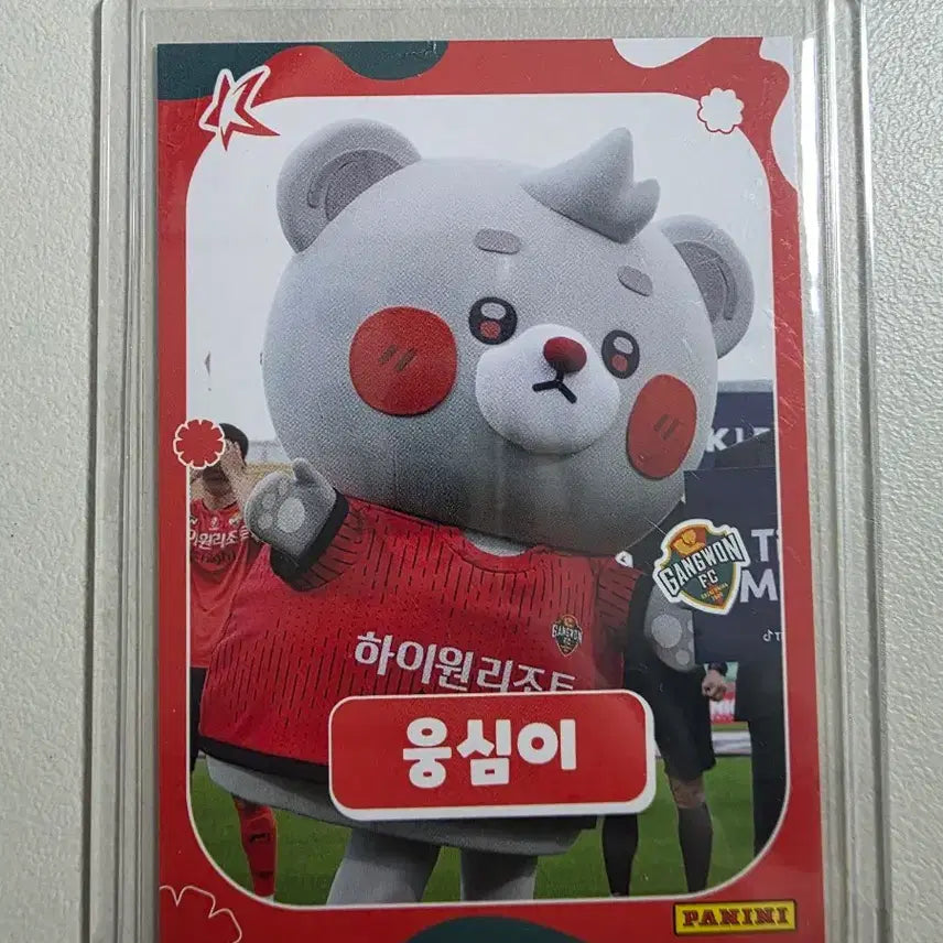 [BUNJANG] 2026 K League Gangwon FC Mascot Woongsimi Card / 2026 k리그 파니니 강원fc 마스코트 웅심이 카드 판매