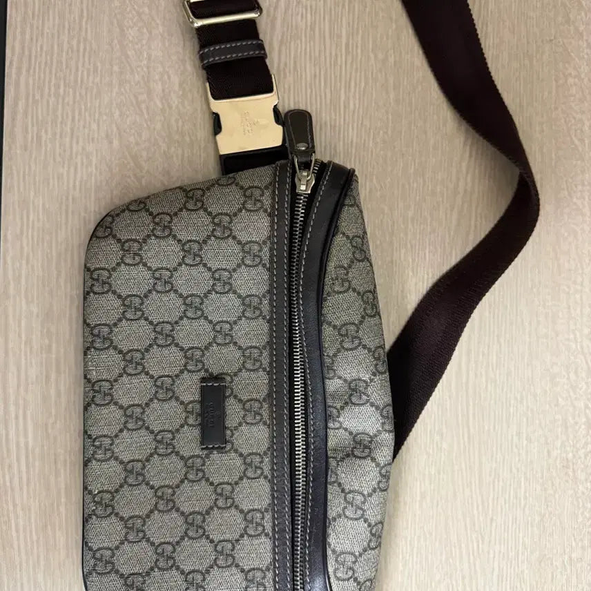 [BUNJANG] Gucci GG Logo Pattern Hip Pack / 구찌 힙색