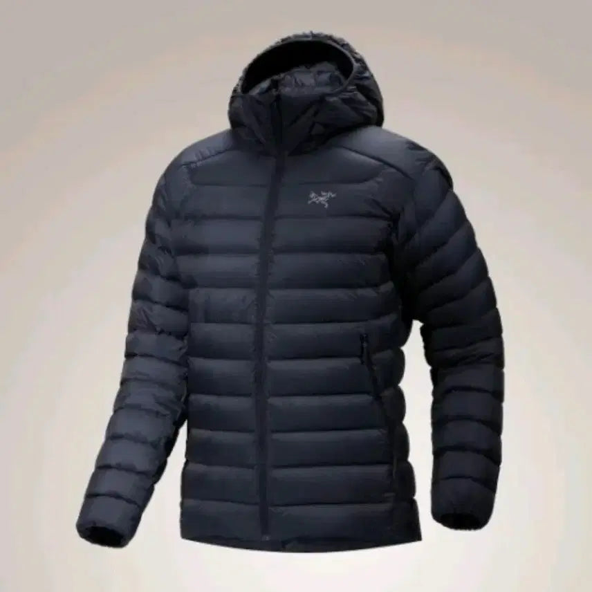 [BUNJANG] Arc'teryx Cerium Hoodie Black Sapphire L / 아크테릭스 세륨 후디 판매합니다 (블랙사파이어 L)