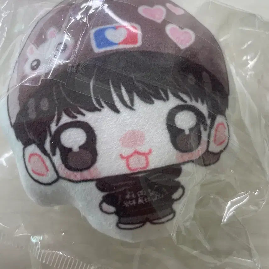 [BUNJANG] Park Jihoon Unofficial Goods Doll / 박지훈 비공굿 인형 양도