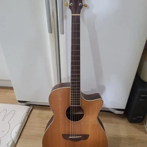 [BUNJANG] DreamBow TR-800 Solid Top Acoustic Guitar / 드림보우 탑솔리드 통기타 tr-800