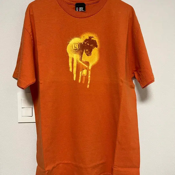 [BUNJANG] Linkin Park Meteora Vintage T-Shirt / 린킨파크 linkin park meteora 빈티지 티셔츠