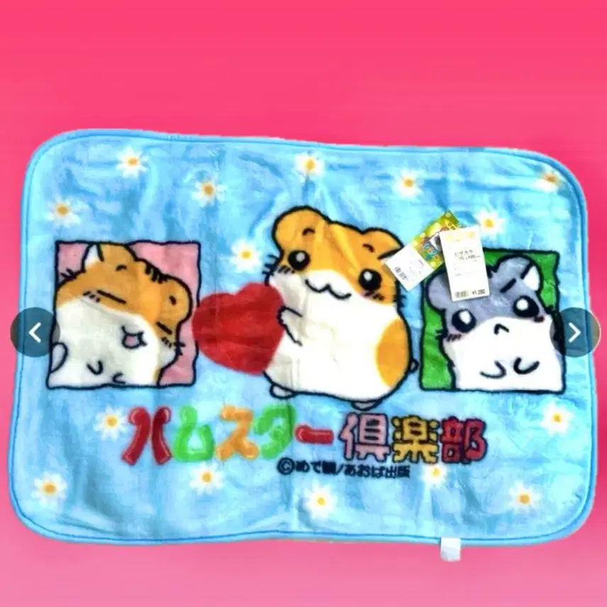 [BUNJANG] Hamster Club Large Blanket / 정품]햄스터클럽 대형 담요(벽꾸미기)