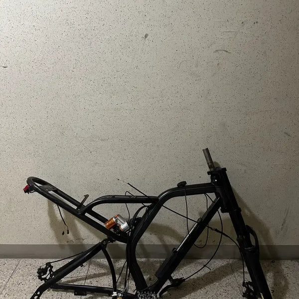 [BUNJANG] BS SLICK Frame Body with Fork and Brake Pegs / Bs슬릭 프레임 본체