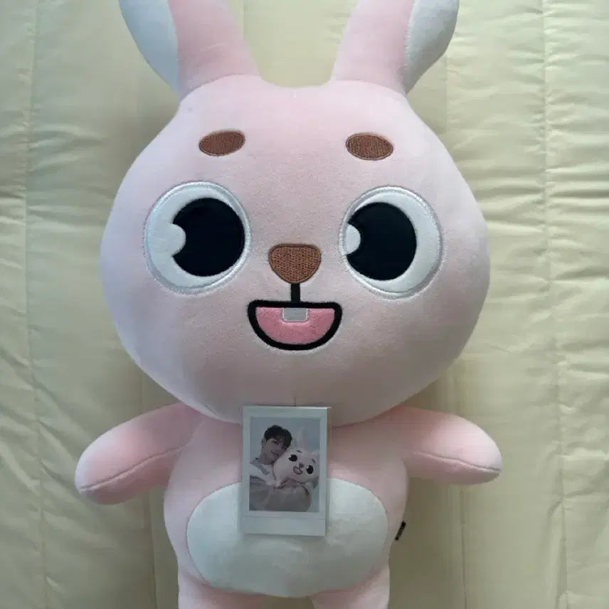 [BUNJANG] Day6 Giant Denimals Pili Doll Bundle Set (Polaroid Included) / 데이식스 자이언트 데니멀즈 필 양도 (폴라 포함)