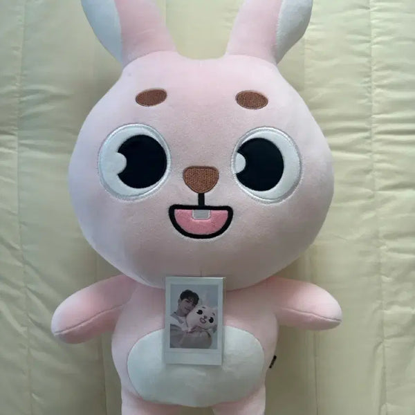 [BUNJANG] Day6 Giant Denimals Pili Doll Bundle Set (Polaroid Included) / 데이식스 자이언트 데니멀즈 필 양도 (폴라 포함)