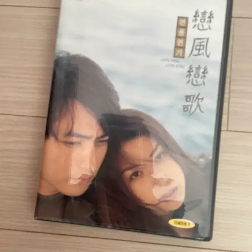 [BUNJANG] Love Letter DVD / 연풍연가 dvd