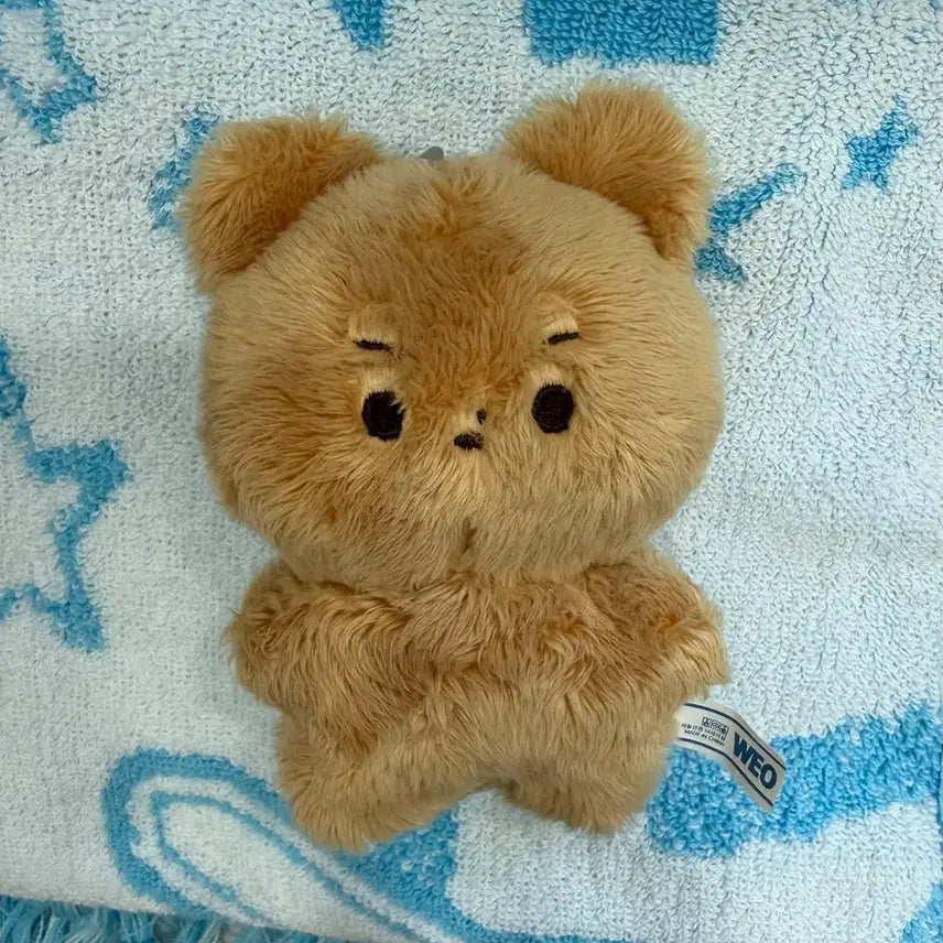 [BUNJANG] THE BOYZ HyunJoon DalGomie Plush Doll / 더보이브 현재 인형 달곰이