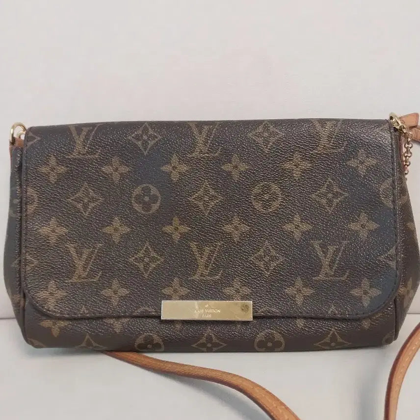 [BUNJANG] Louis Vuitton Favorite MM Bag / 루이비통 페이보릿mm 백
